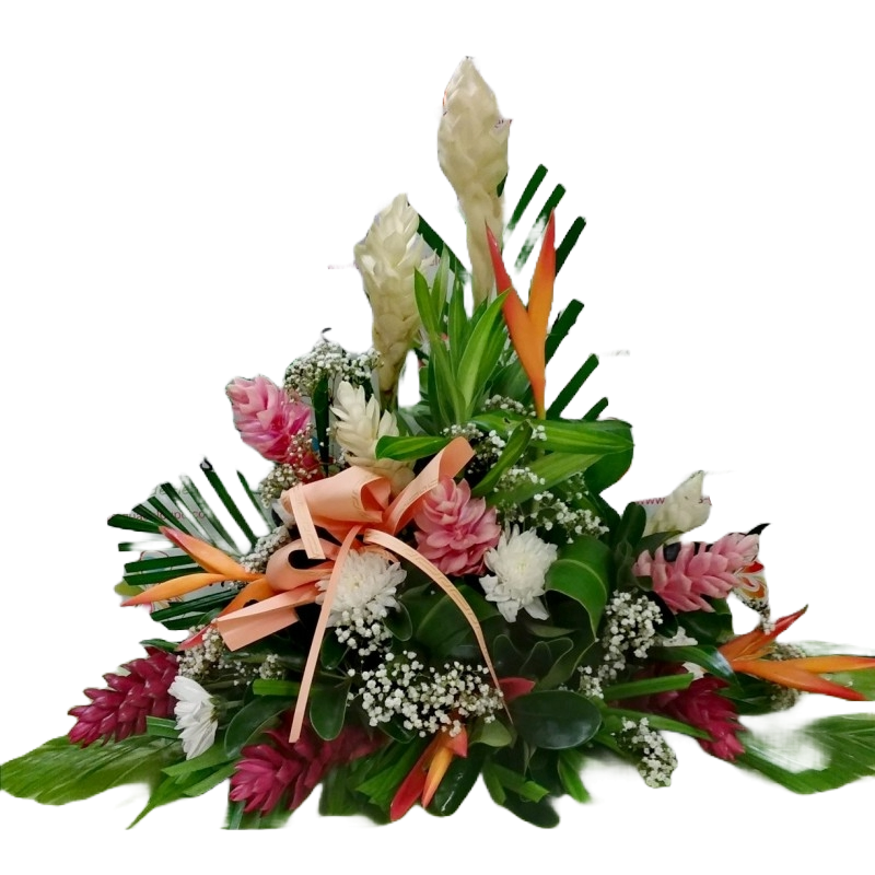 grace-raquette-a-dominante-tropicale