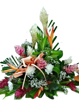 Grâce - Raquette à dominante tropicale