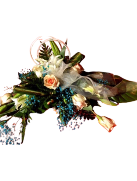 Autocorso - Blue Corail