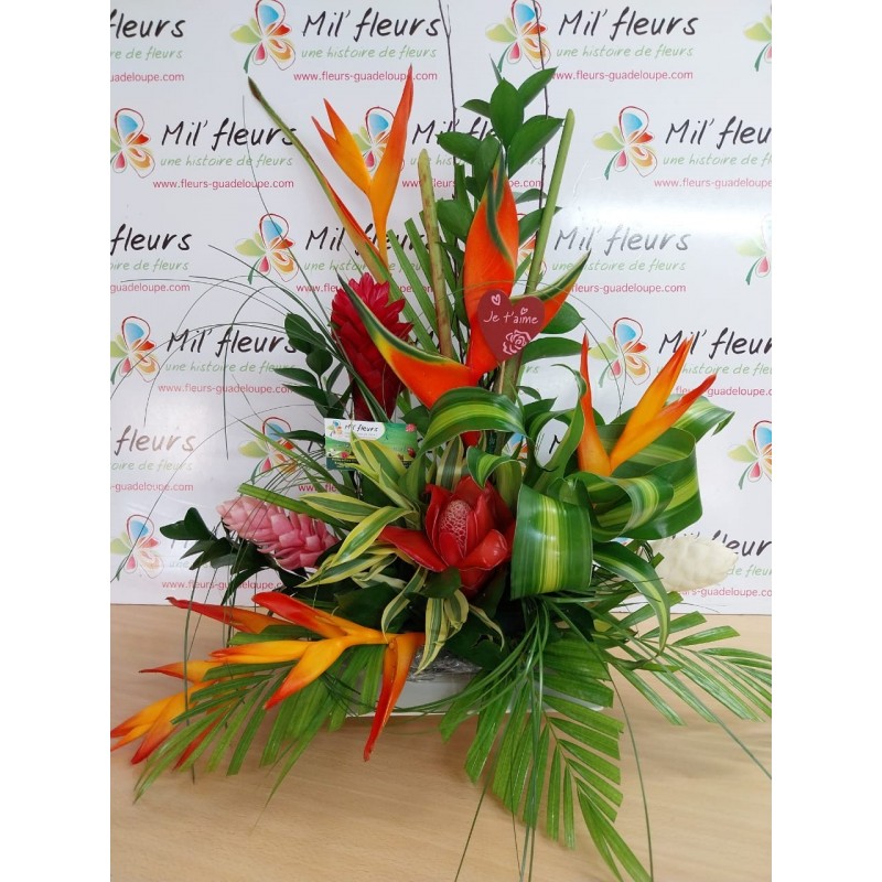 marie-galante marie-galante