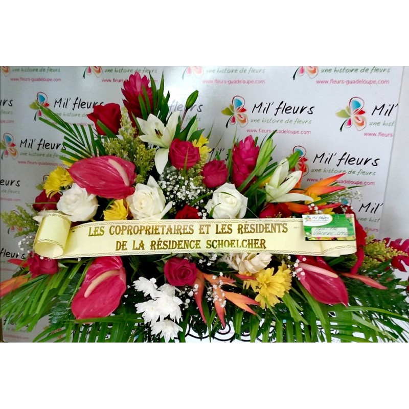 Uranus - Raquette Uranus - Raquette