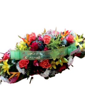 Pensée - Raquette colorée