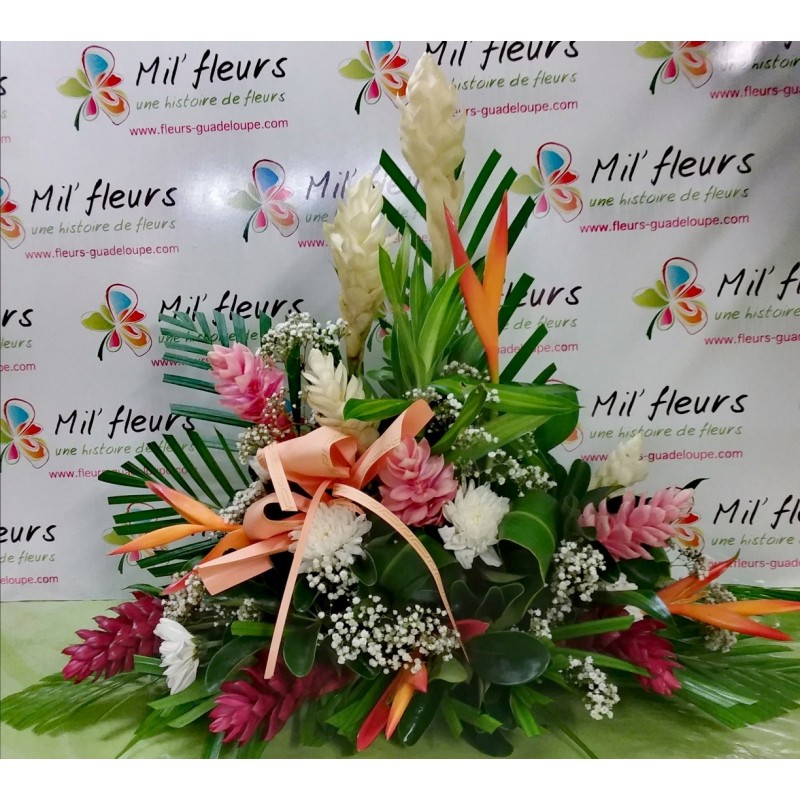 Grâce - Raquette à dominante tropicale Grâce - Raquette à dominante tropicale