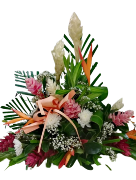 Grâce - Raquette à dominante tropicale