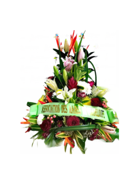 Honneur - Raquette en hauteur