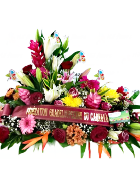 In memorium - Raquette